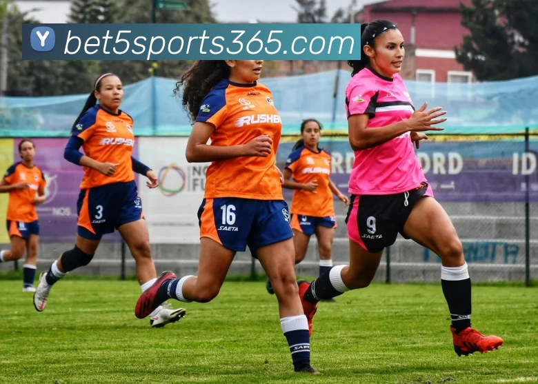 App Interface Preview