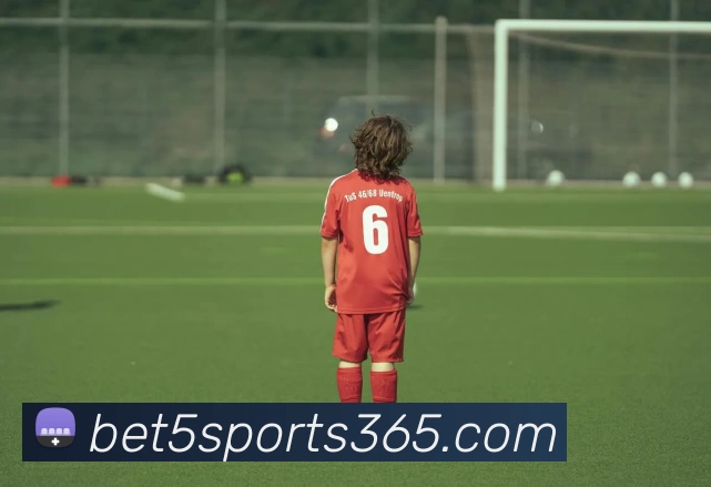 BET5体育365APP 封面图